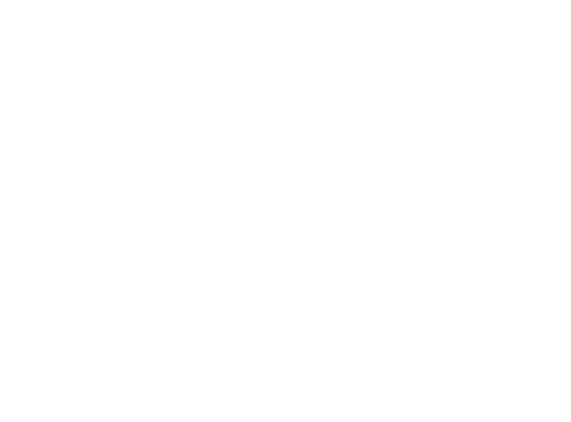 logo pmi